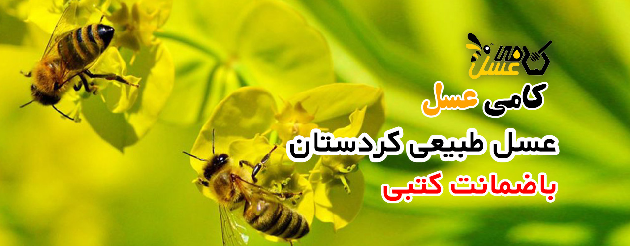 کامی عسل - عسل طبیعی کردستان